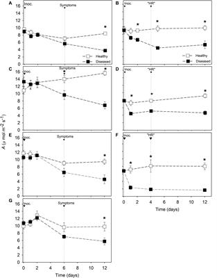 Photosynthetic Cost Associated With Induced Defense to Plasmopara viticola in Grapevine